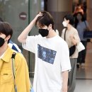 트레저