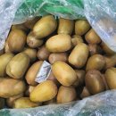 건강세상골드 이미지