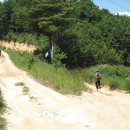 수로부인길 이미지