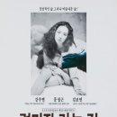 경마장가는길 이미지