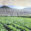 여의동농장 이미지