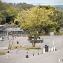 이마트24 진천타운점 | 아이랑 캠핑 추천 진천 더빌리지캠핑장 DDS1 사이트 후기