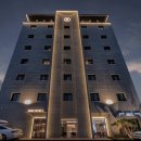 브라운 도트 이미지