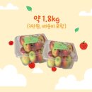 농업회사법인(주)금곡농장 | [청도/사과]루비에스 미니사과 내돈내산 사과농장 산지직송 스마트스토어