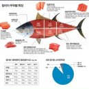 장도참치 이미지