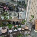 용인동백꽃집에 다녀온 찐 후기