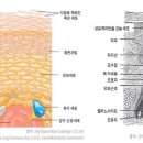 다움교육원 이미지