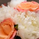 플로리아트(Floriat) 이미지