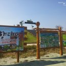 용천골 | &lt;가을축제추천,전라도여행&gt;국화꽃에 흠뻑취해보고싶다면? 함평국화축제