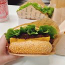 회기버거 경희궁자이점 | 쉐이크쉑보다 더 자주 찾게 되는 경희궁자이점 회기버거 내돈내산 후기