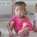 보릿고개 Daum카페