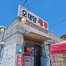 양지면 제일리 로컬맛집, 오대양짬뽕 솔직후기