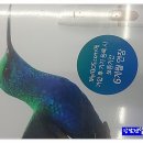 세븐일레븐(신정점) 이미지