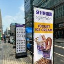 요거트퍼플발산