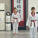 국가대표 울림태권도 이미지