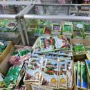 풍년종묘농약사 이미지