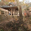 사또네