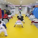 용호 태권도장 이미지