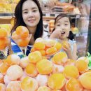 홍시 - 고양시 일산동구 일산로 284 | 홍시