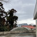 한라산약국 이미지