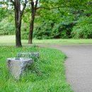 정부청사 입구(샘머리) 이미지