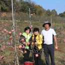 백신1리 이미지