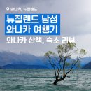 뉴질랜드 남섬, 와나카 여행 - 와나카 호수, 와나카 나무, 오크리지 리조트