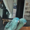 사평대로55길 64 | 10월 일상 털이