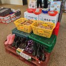 동네방네떡카페 | 춘천 카페 맛집 감자밭, 토마토 바질감자빵과 초당옥수수빵, 감자빵 후기