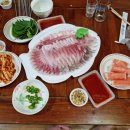대한수산물회판매장