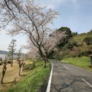 솔솔 불어오는 봄향기가 와락! 돗토리 중부 자전거여행 이미지