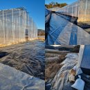 아곡농장 이미지