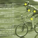 [자전거 타기 운동상식] 자전거 타기(cycling) 운동의 효과 이미지