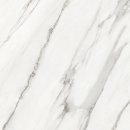 화이트타일(White tile)