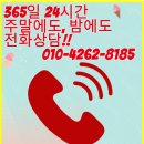 우쭈쭈플렉스 강아지 유치원 호텔 이미지