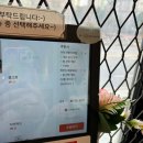산들비 | 인천 중구 영종도 애견동반식당 산들비 깔끔하고 친절한 맛집
