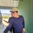 다우 농장 이미지