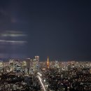 아동교차로(2) | 🌇 도쿄 여행 야경 맛집, 시부야 스카이 예약 방법(클룩 활용), 방문 후기