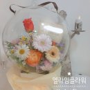 엘라임 이미지