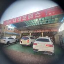 대성카 모터스 이미지