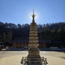 월정사 북대고운암 목조석가여래좌상 및 복장유물 | [절] 82-5. 평창 오대산 월정사