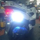 피시스토리 이미지