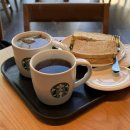 스테이오캄 | 안녕 2026년