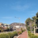 서귀포초등학교 이미지