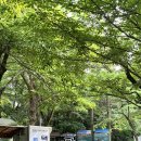 관음사 옆 화장실 이미지