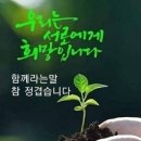 미천시장 이미지