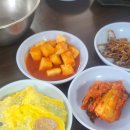 코끼리인력사무소 이미지