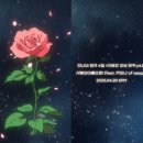 장미앨범사진기획 이미지