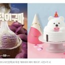 베어케이크