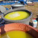 이병주농장 이미지